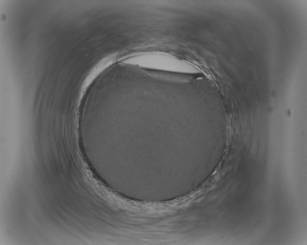 X0000081460006200701261949