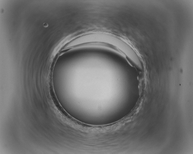 X0000081460007200701261949