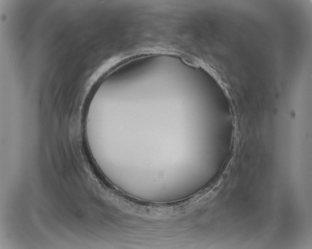 X0000081460008200701261949