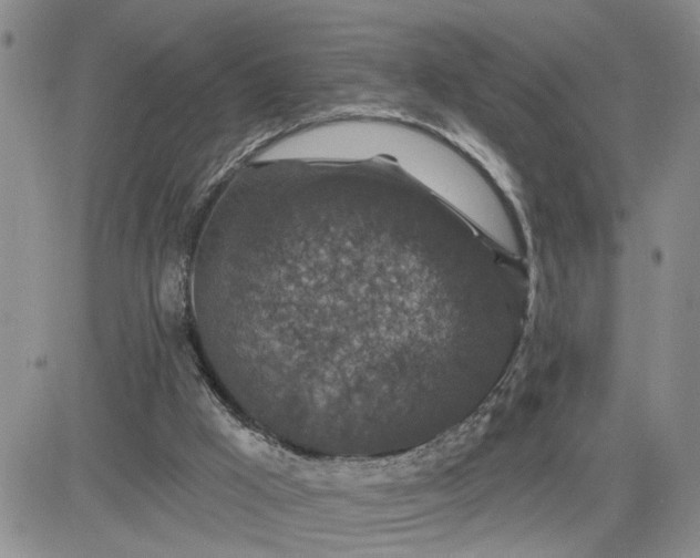 X0000081460009200701261949