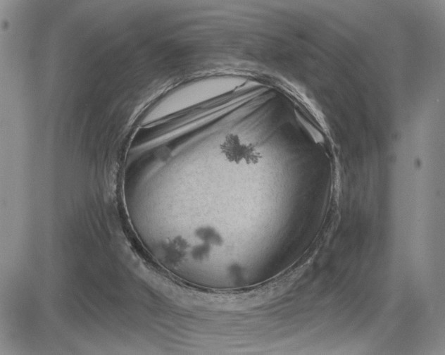 X0000081460010200701261949