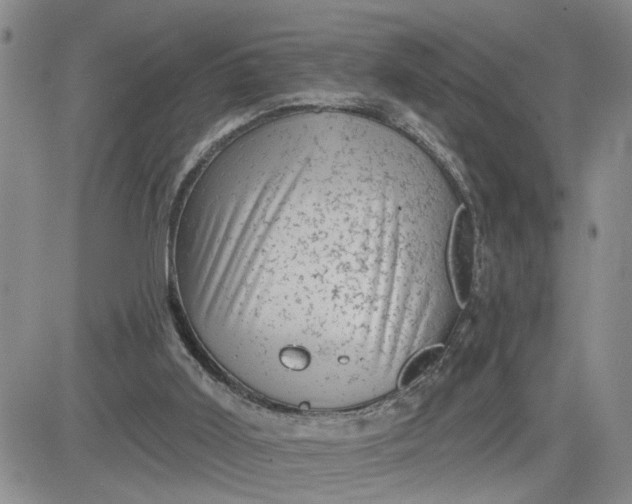 X0000081460011200701261949