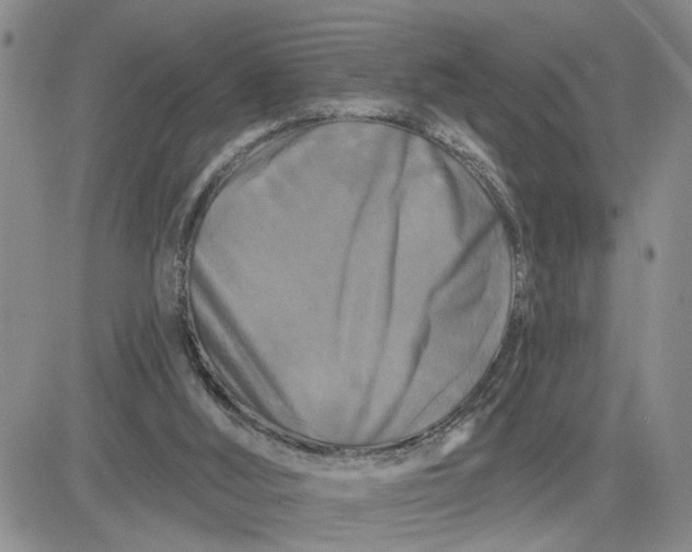 X0000081460012200701261949