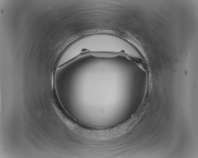 X0000081460013200701261949