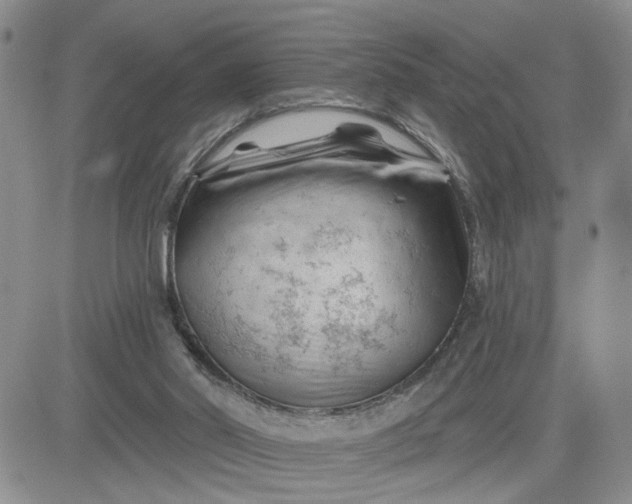 X0000081460014200701261949