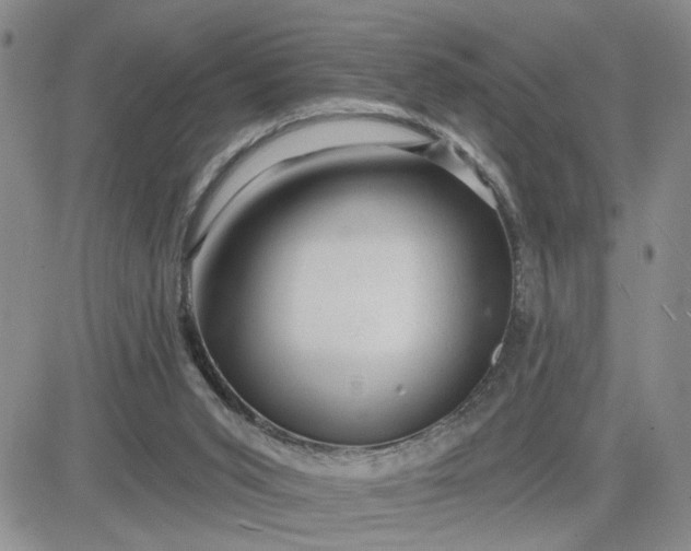 X0000081460015200701261949