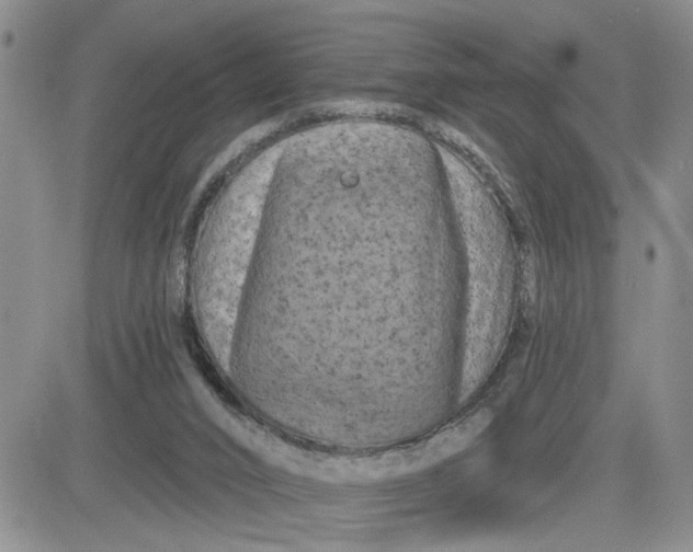 X0000081460016200701261949