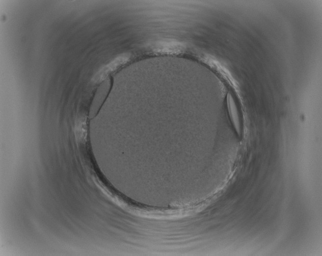 X0000081460017200701261949