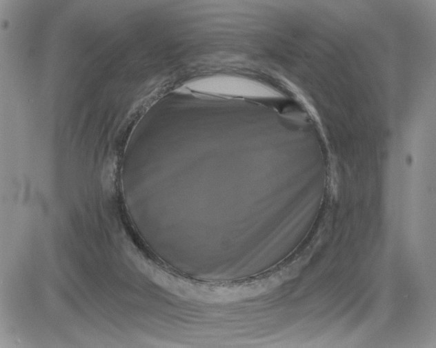 X0000081460018200701261949