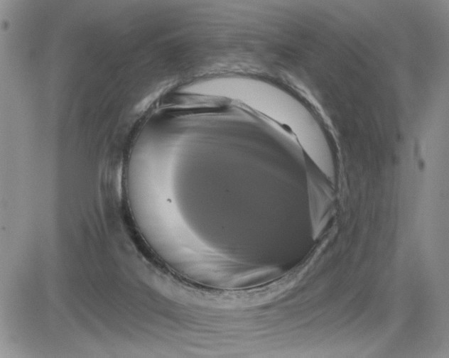 X0000081460019200701261949