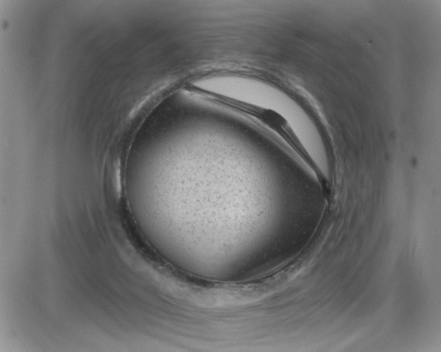 X0000081460020200701261949