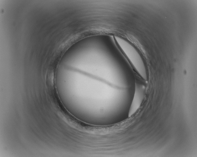 X0000081460021200701261949