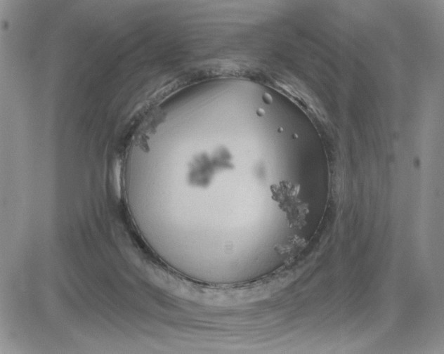 X0000081460022200701261949