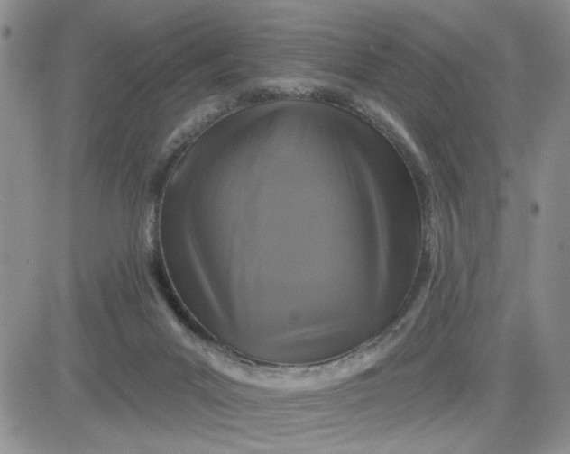 X0000081460023200701261949