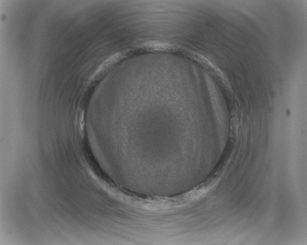 X0000081460024200701261949