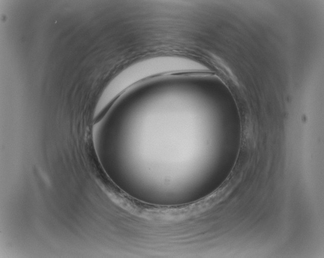 X0000081460025200701261949