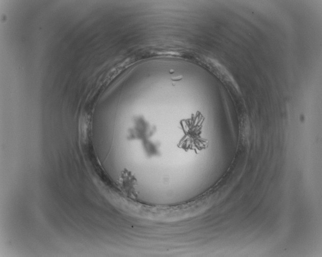 X0000081460026200701261949