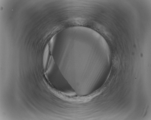 X0000081460027200701261949