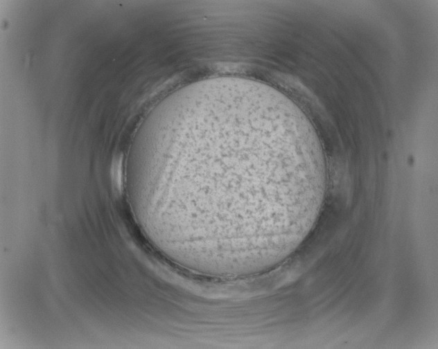 X0000081460028200701261949