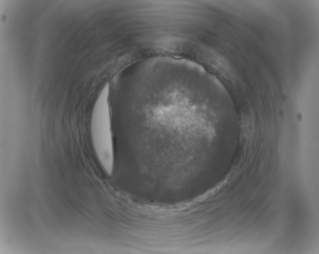 X0000081460029200701261949