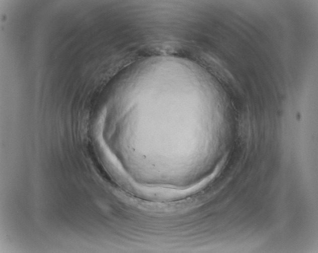 X0000081460030200701261949