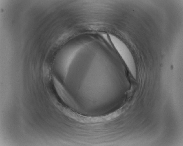 X0000081460031200701261949