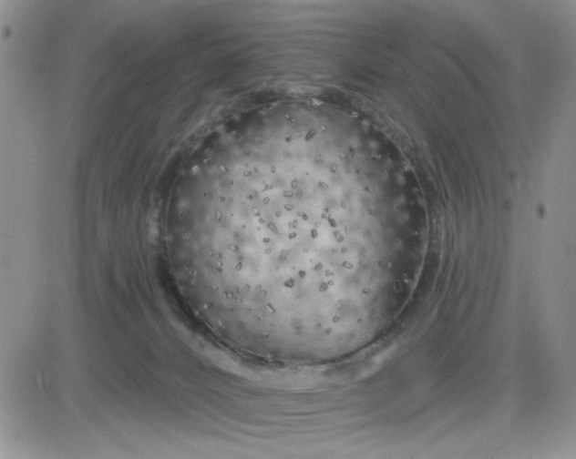 X0000081460032200701261949