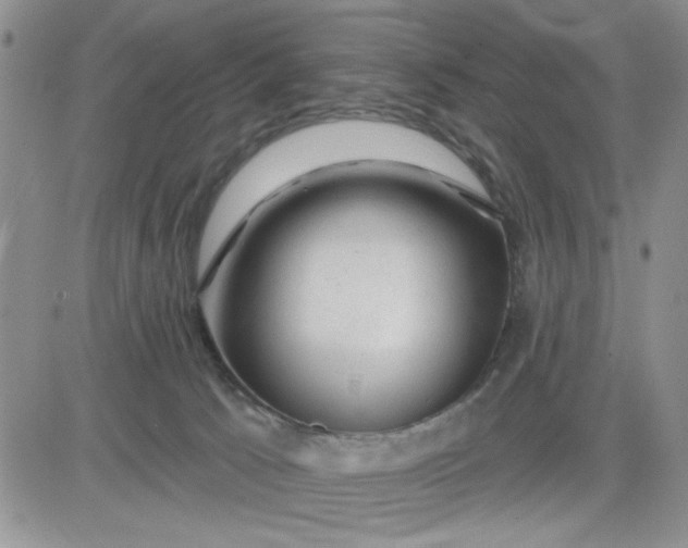 X0000081460033200701261949