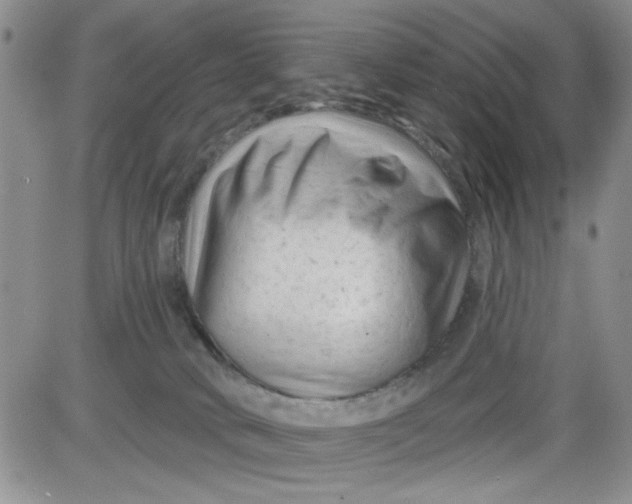 X0000081460034200701261949