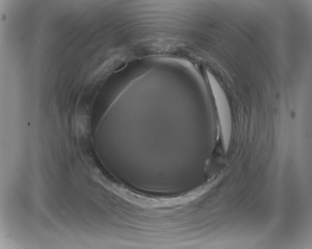 X0000081460035200701261949