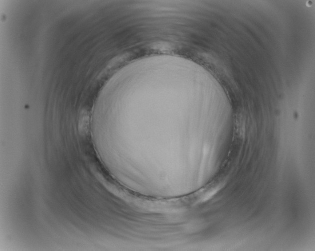 X0000081460036200701261949