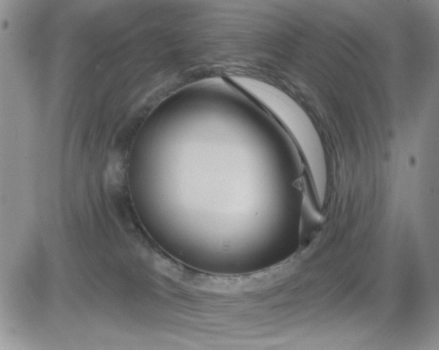 X0000081460037200701261949