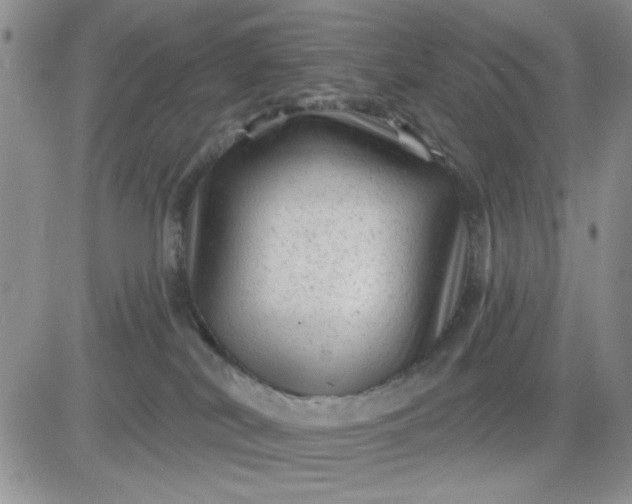 X0000081460038200701261949