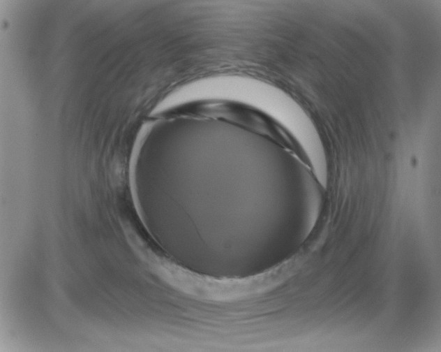 X0000081460039200701261949