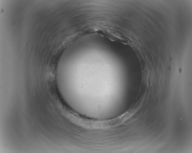 X0000081460040200701261949