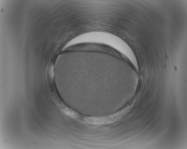 X0000081460041200701261949