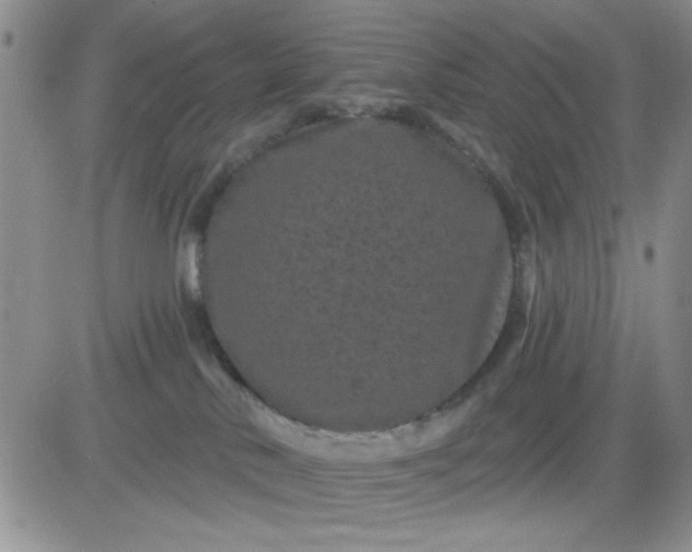 X0000081460042200701261949