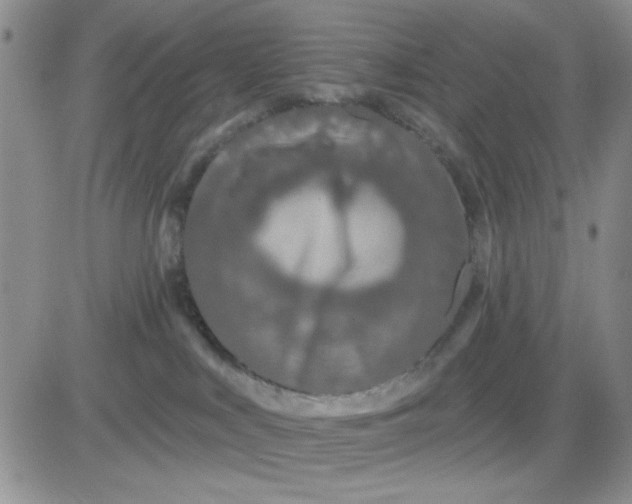 X0000081460043200701261949