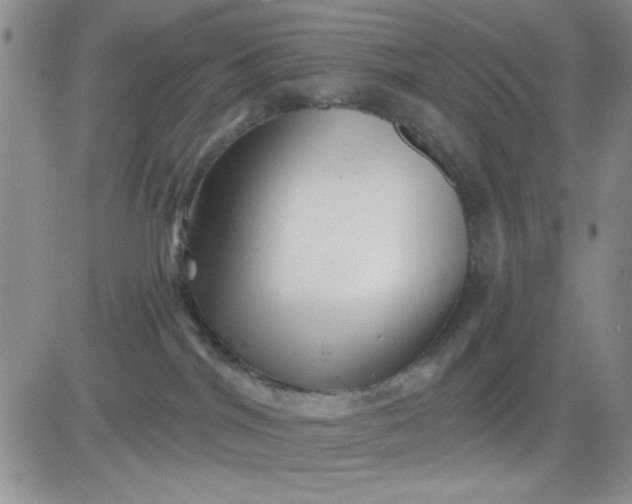 X0000081460044200701261949