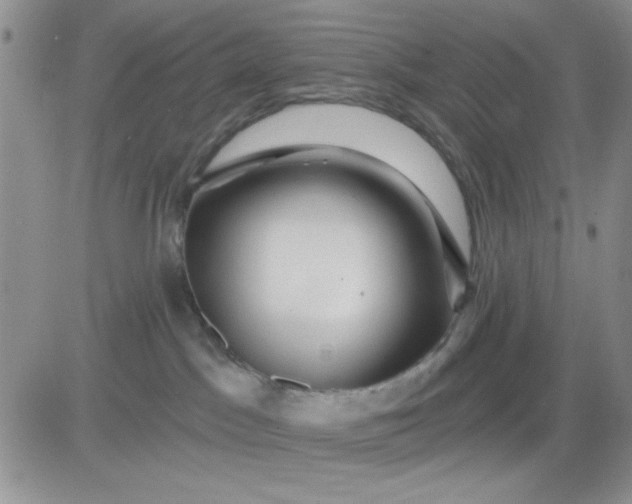 X0000081460045200701261949