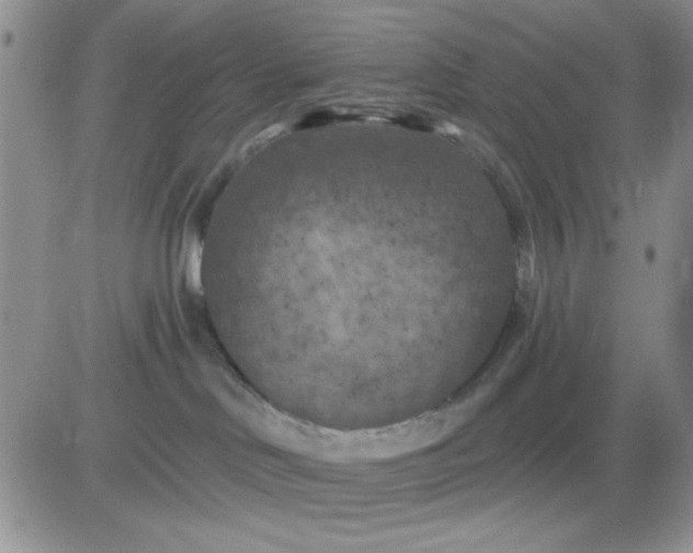 X0000081460046200701261949