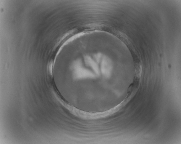 X0000081460047200701261949