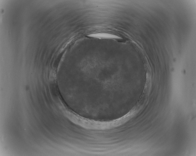 X0000081460048200701261949