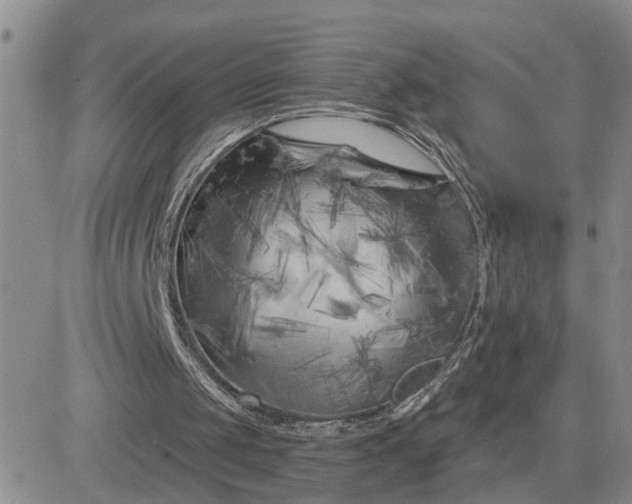 X0000081460049200701261948