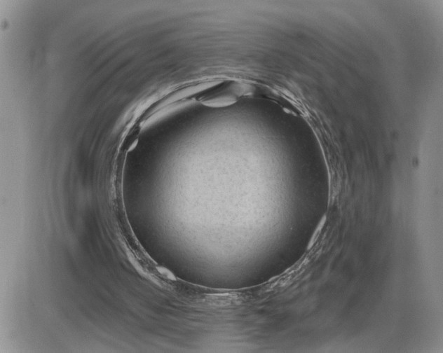 X0000081460050200701261948