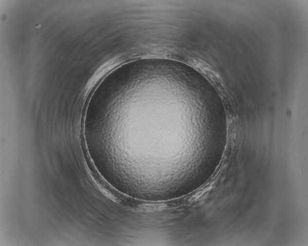 X0000081460051200701261948