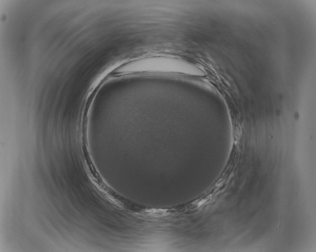 X0000081460052200701261948