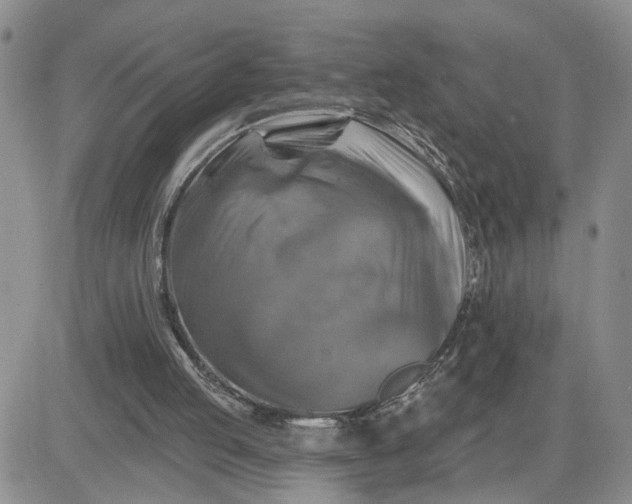 X0000081460053200701261948