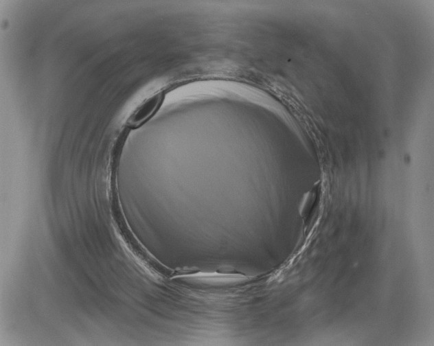 X0000081460054200701261948