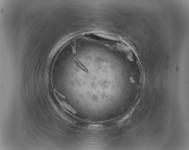 X0000081460055200701261948